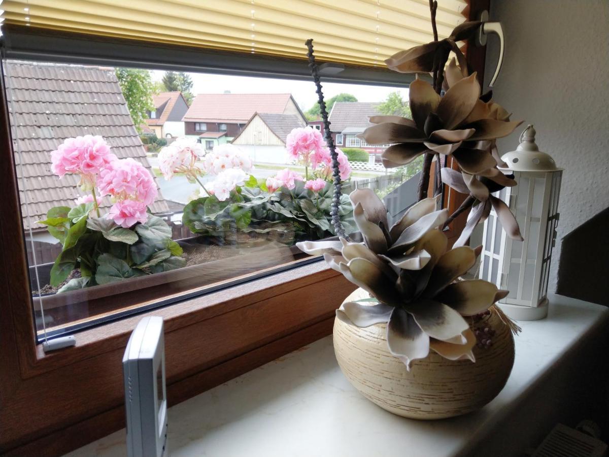 Ferienhaus Prinzler 弗雷德里希斯布鲁恩 外观 照片